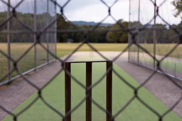 Artificial Cricket Net