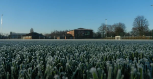 frozen artificial sports surfaces